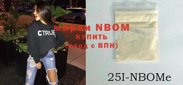 шишки Медвежьегорск