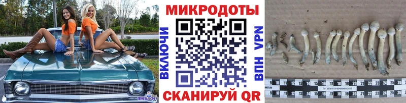 Псилоцибиновые грибы мицелий  что такое   мега   Партизанск 