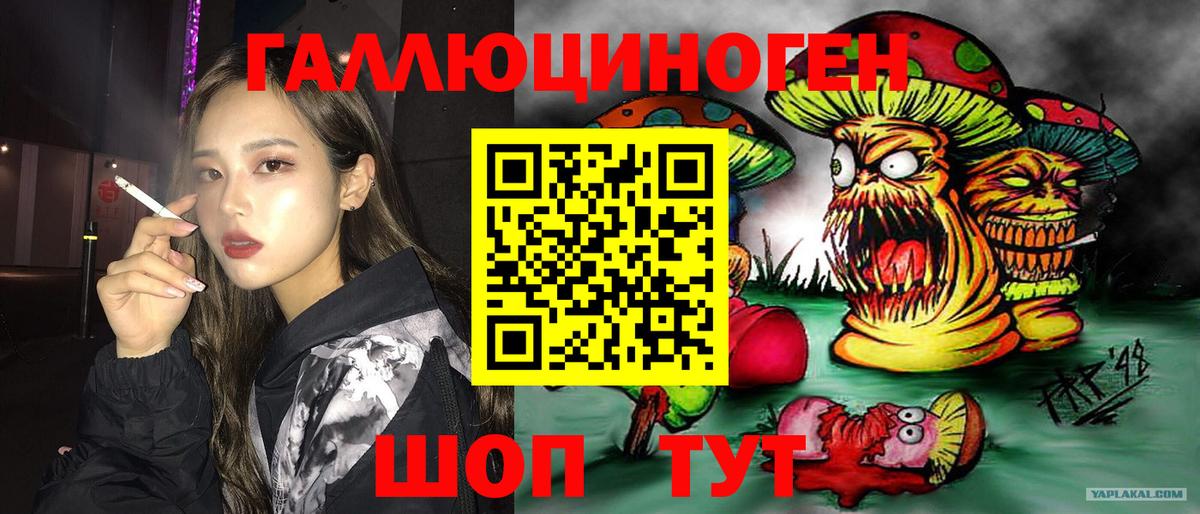 Псилоцибиновые грибы Psilocybe Партизанск